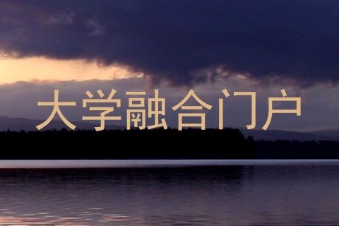 大学融合门户