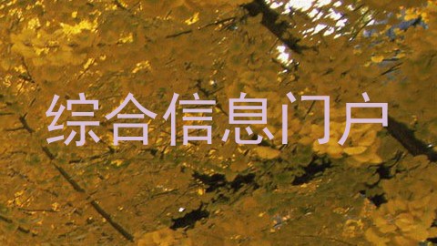 综合信息门户