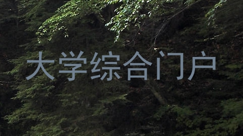 大学综合门户