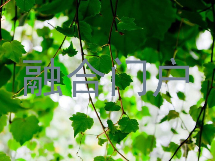 融合门户
