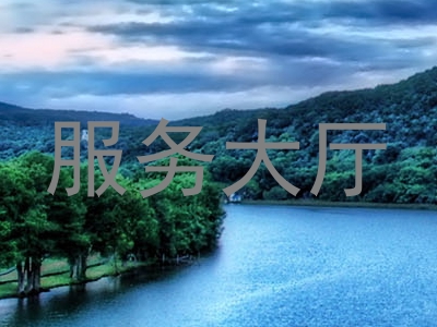 服务大厅