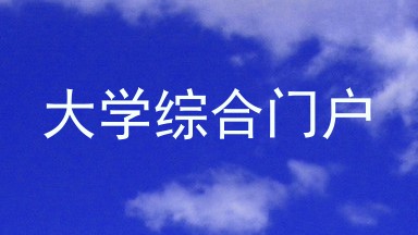 大学综合门户