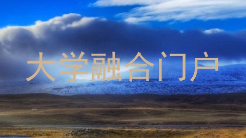 大学融合门户
