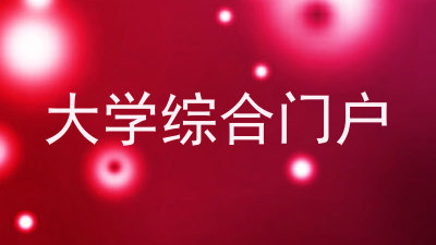 大学综合门户