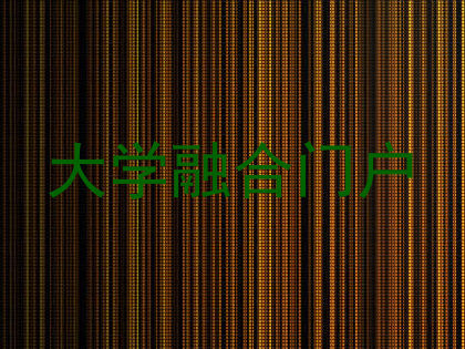 大学融合门户