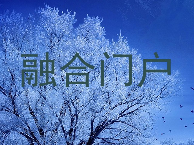 融合门户