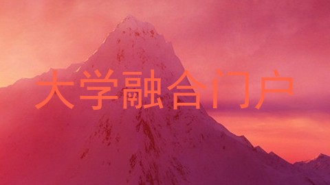大学融合门户