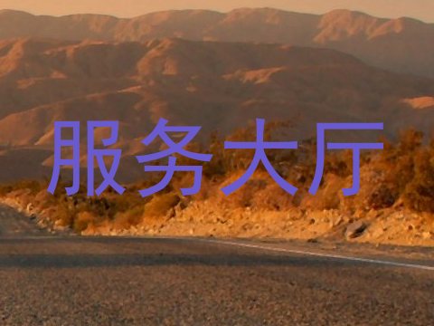 服务大厅