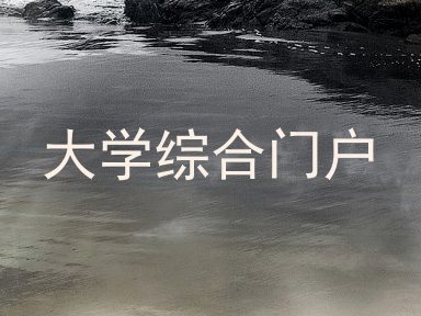 大学综合门户