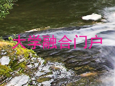 大学融合门户