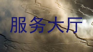 服务大厅