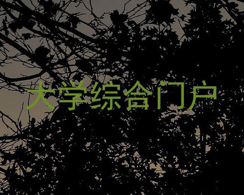 大学综合门户