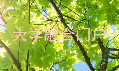 大学融合门户