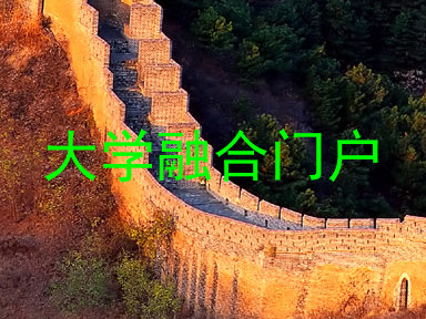 大学融合门户
