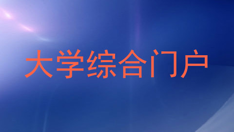 大学综合门户
