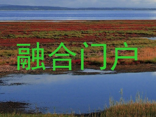 融合门户