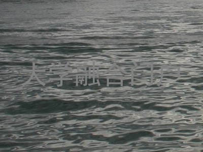 大学融合门户