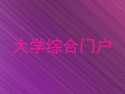 大学综合门户