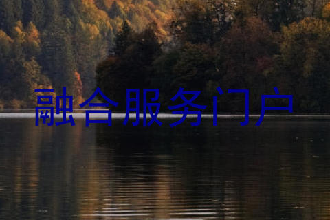 融合服务门户