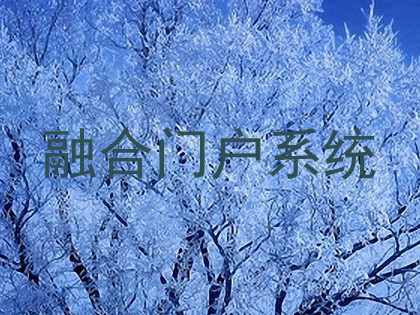 融合门户系统