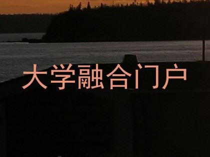 大学融合门户
