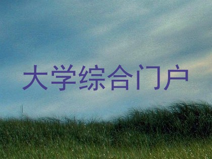 大学综合门户