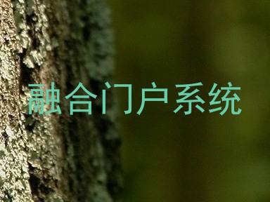融合门户系统