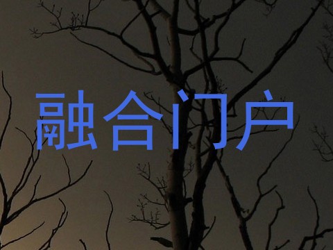 融合门户