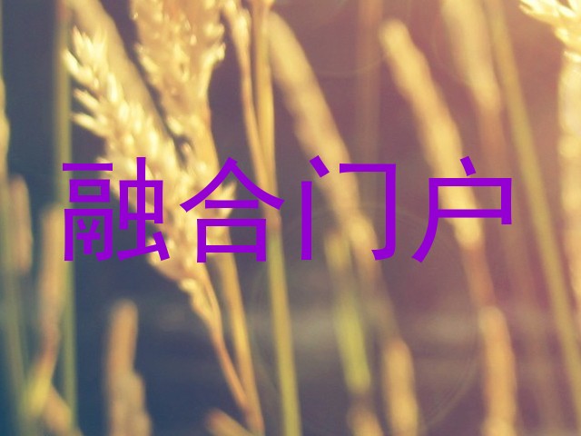 融合门户
