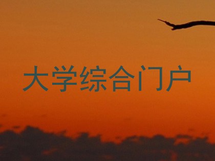 大学综合门户