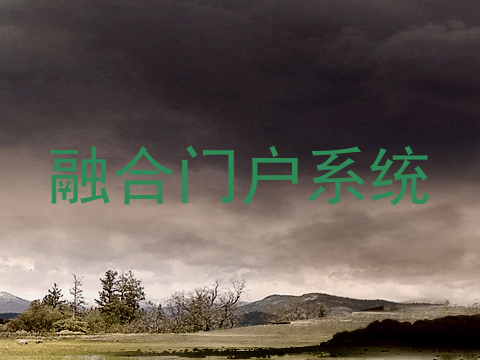 融合门户系统