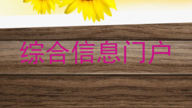 综合信息门户