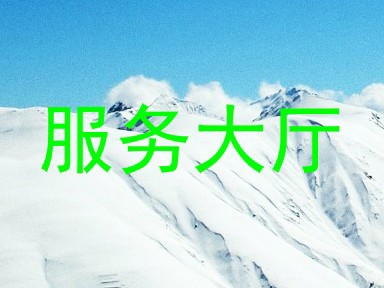服务大厅