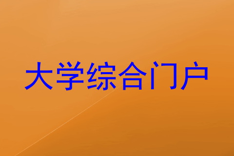 大学综合门户