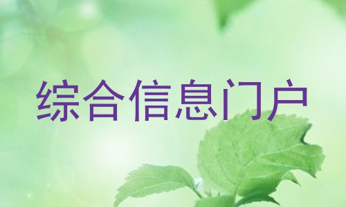 综合信息门户