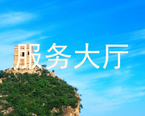 服务大厅