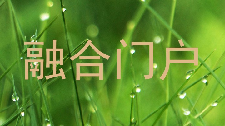 融合门户