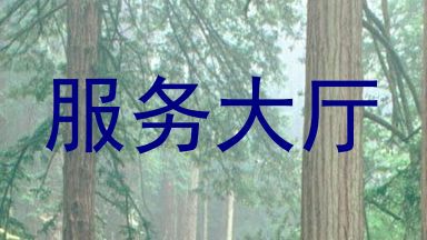 服务大厅