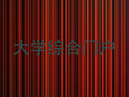 大学综合门户