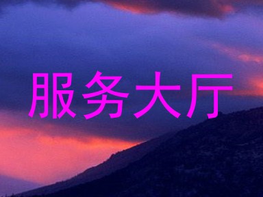服务大厅