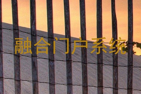 融合门户系统