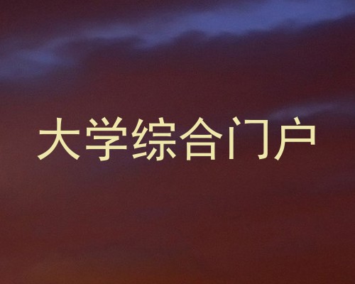 大学综合门户