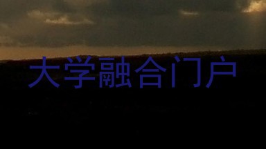 大学融合门户