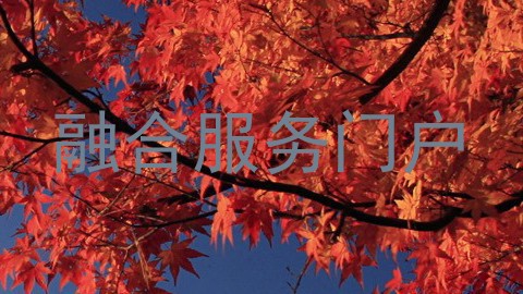 融合服务门户