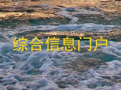 综合信息门户