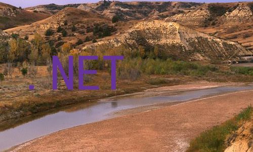 .NET