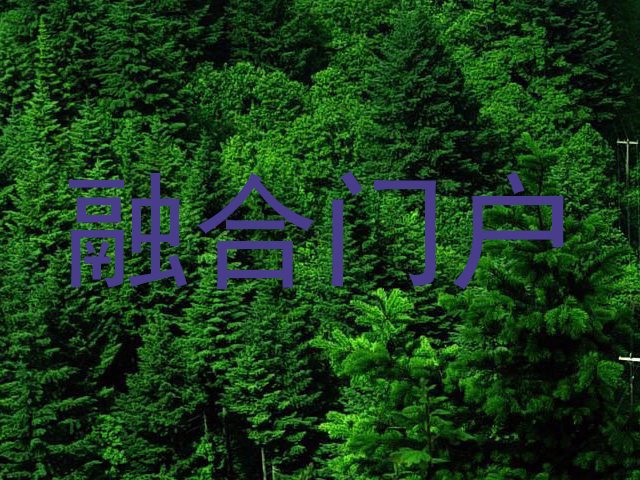 融合门户