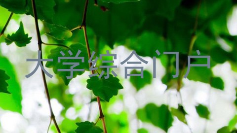 大学综合门户