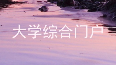 大学综合门户