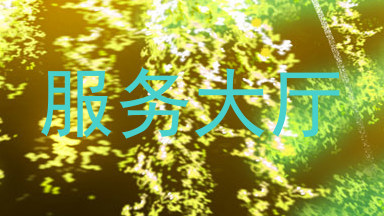 服务大厅